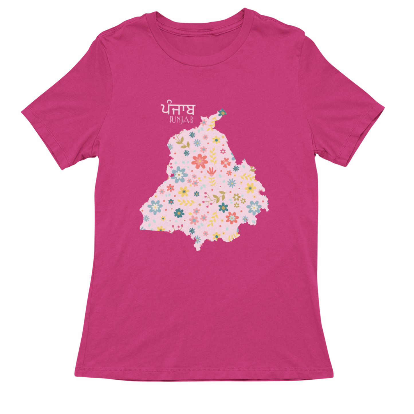 Map of Punjab-Pink