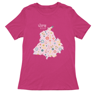 Map of Punjab-Pink