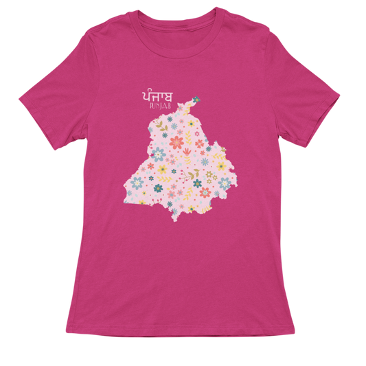 Map of Punjab-Pink