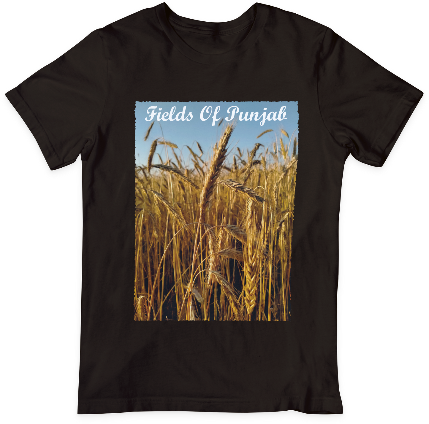 Fields Of Punjab-Coffee Brown